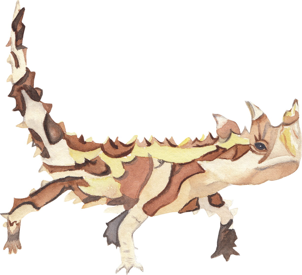 Watercolor Thorny Devil Illustration